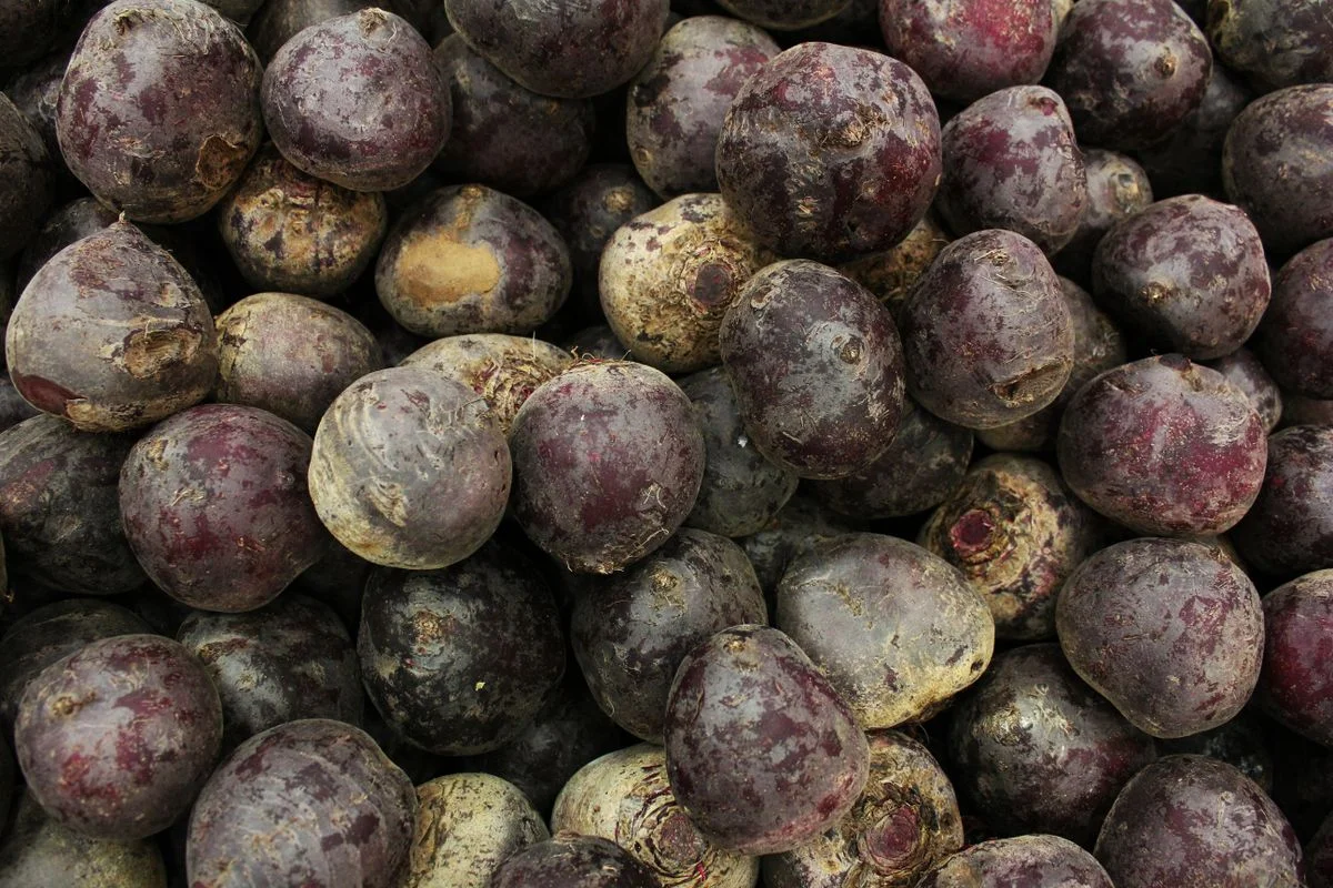 Beetroot
