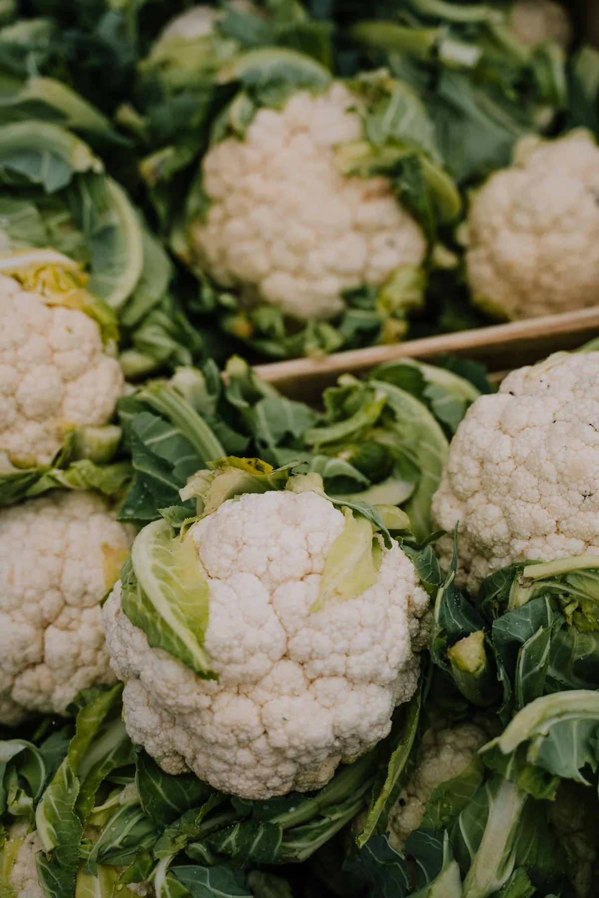Cauliflower