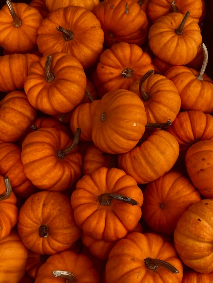Pumpkin