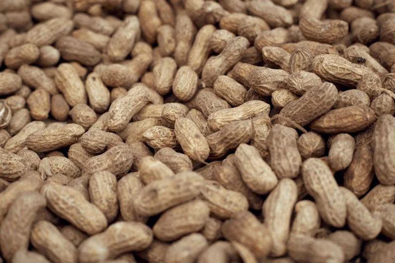 Peanuts