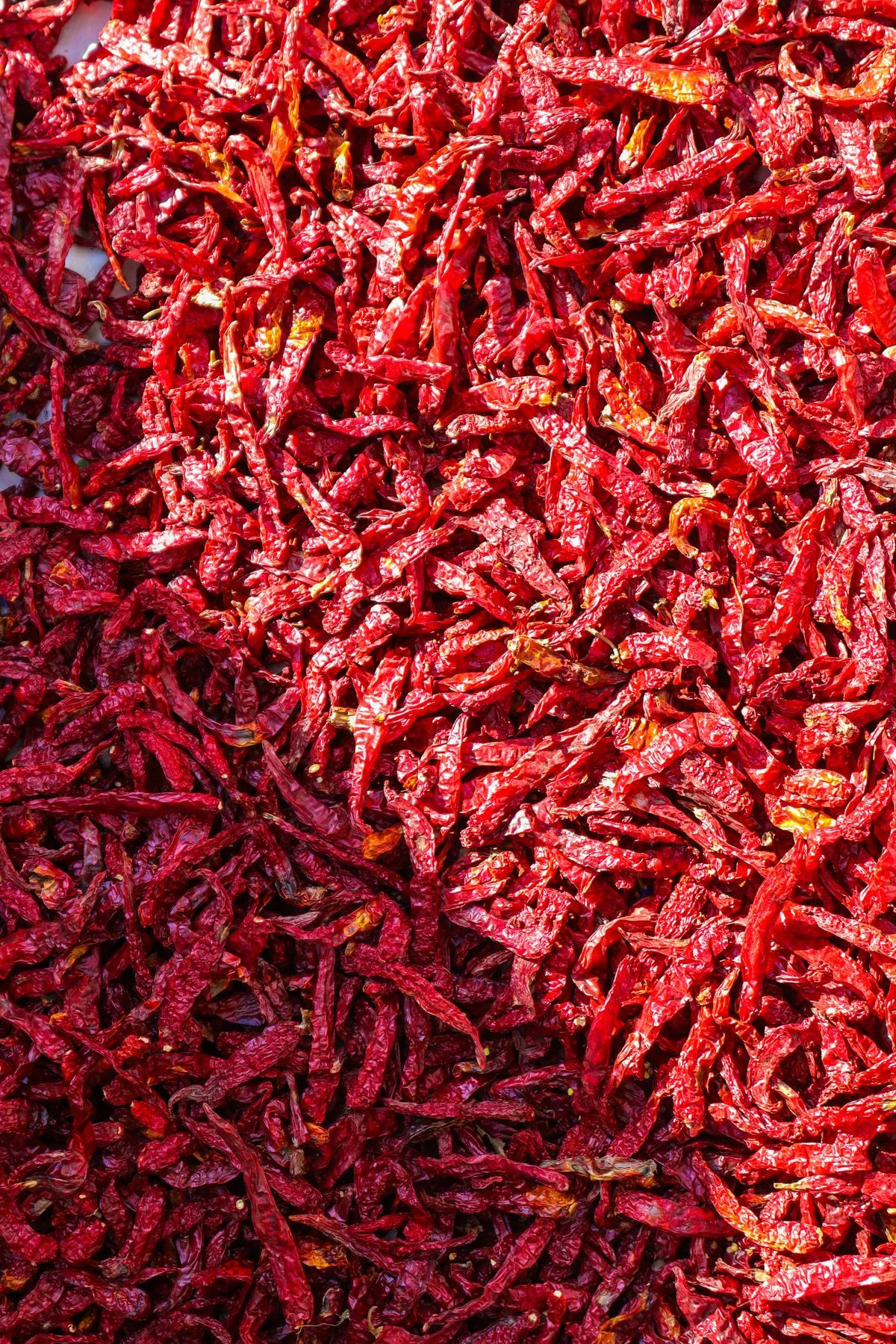 Dry Red Chillies & Spices